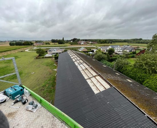 Afbeelding van WhatsApp op 2023-08-13 om 04.01.37