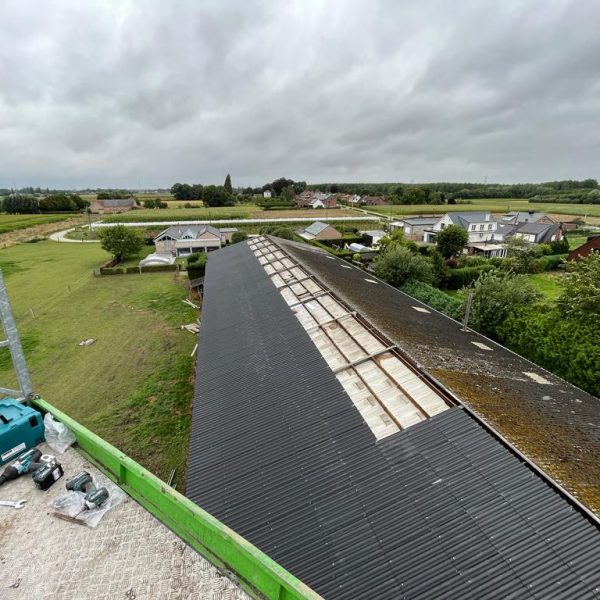 Afbeelding van WhatsApp op 2023-08-13 om 04.01.37