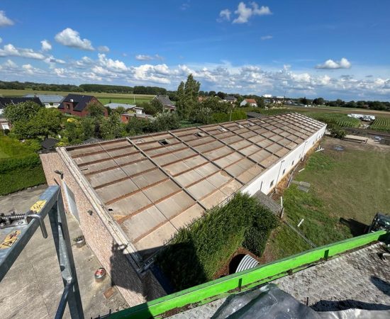 Afbeelding van WhatsApp op 2023-08-13 om 04.03.01