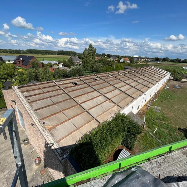 Afbeelding van WhatsApp op 2023-08-13 om 04.03.01